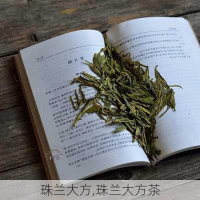 珠兰大方,珠兰大方茶-第3张图片-花卉百科