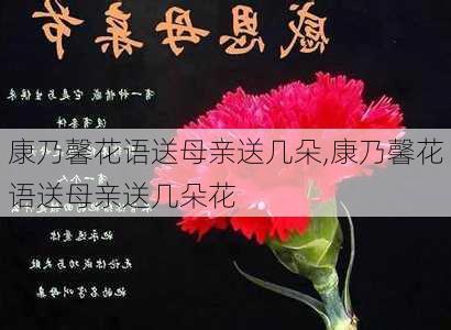 康乃馨花语送母亲送几朵,康乃馨花语送母亲送几朵花-第1张图片-花卉百科