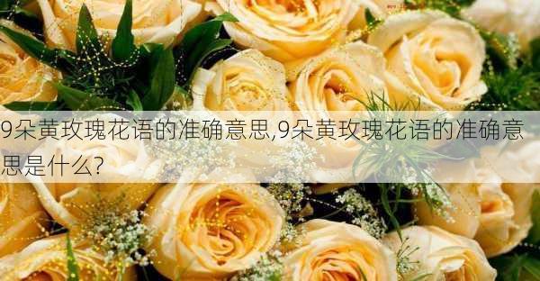 9朵黄玫瑰花语的准确意思,9朵黄玫瑰花语的准确意思是什么?