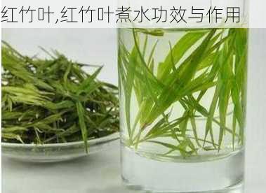 红竹叶,红竹叶煮水功效与作用-第2张图片-花卉百科