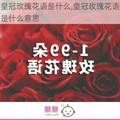 皇冠玫瑰花语是什么,皇冠玫瑰花语是什么意思