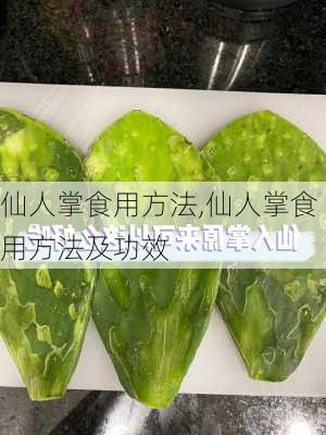 仙人掌食用方法,仙人掌食用方法及功效