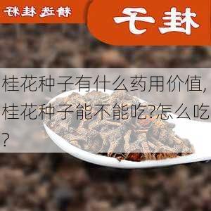 桂花种子有什么药用价值,桂花种子能不能吃?怎么吃?-第2张图片-花卉百科