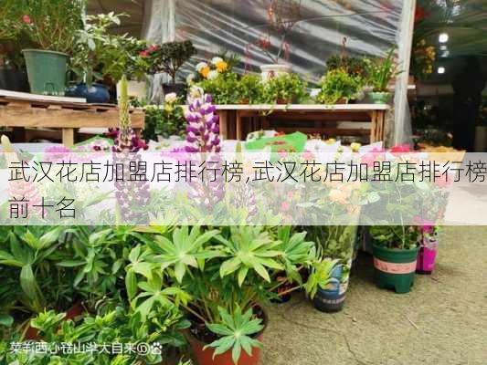 武汉花店加盟店排行榜,武汉花店加盟店排行榜前十名-第3张图片-花卉百科