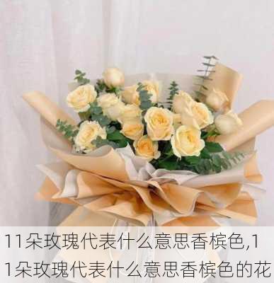 11朵玫瑰代表什么意思香槟色,11朵玫瑰代表什么意思香槟色的花-第2张图片-花卉百科