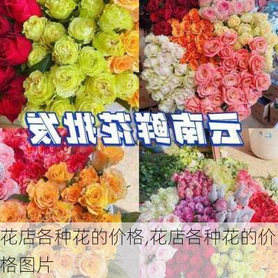 花店各种花的价格,花店各种花的价格图片-第1张图片-花卉百科