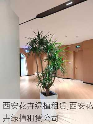 西安花卉绿植租赁,西安花卉绿植租赁公司-第2张图片-花卉百科