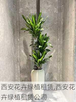 西安花卉绿植租赁,西安花卉绿植租赁公司