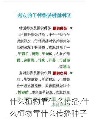 什么植物靠什么传播,什么植物靠什么传播种子-第1张图片-花卉百科