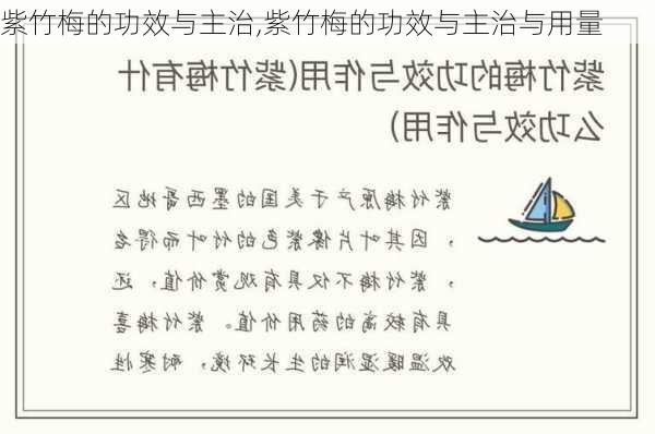 紫竹梅的功效与主治,紫竹梅的功效与主治与用量