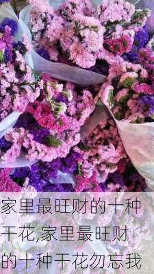 家里最旺财的十种干花,家里最旺财的十种干花勿忘我-第2张图片-花卉百科