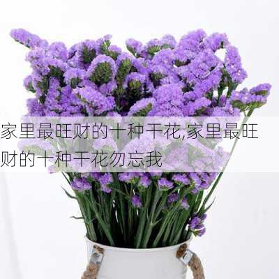 家里最旺财的十种干花,家里最旺财的十种干花勿忘我-第1张图片-花卉百科