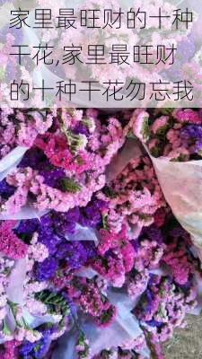 家里最旺财的十种干花,家里最旺财的十种干花勿忘我-第3张图片-花卉百科