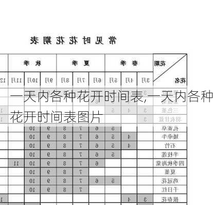 一天内各种花开时间表,一天内各种花开时间表图片-第1张图片-花卉百科