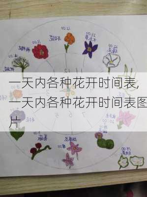 一天内各种花开时间表,一天内各种花开时间表图片-第2张图片-花卉百科