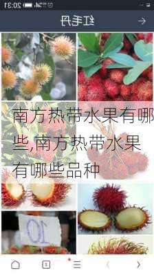 南方热带水果有哪些,南方热带水果有哪些品种-第3张图片-花卉百科