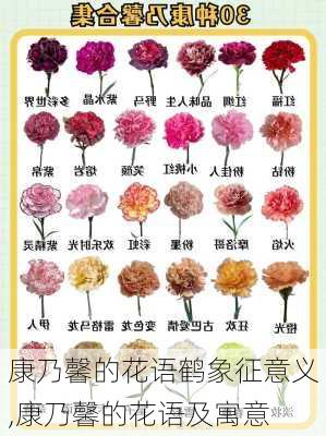 康乃馨的花语鹤象征意义,康乃馨的花语及寓意-第2张图片-花卉百科