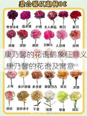 康乃馨的花语鹤象征意义,康乃馨的花语及寓意-第3张图片-花卉百科