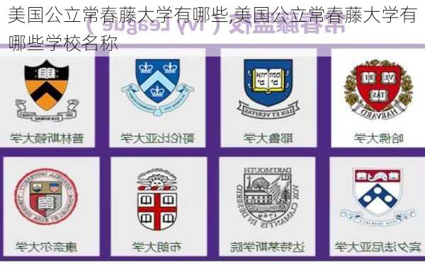 美国公立常春藤大学有哪些,美国公立常春藤大学有哪些学校名称-第2张图片-花卉百科