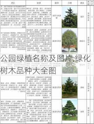 公园绿植名称及图片,绿化树木品种大全图-第3张图片-花卉百科