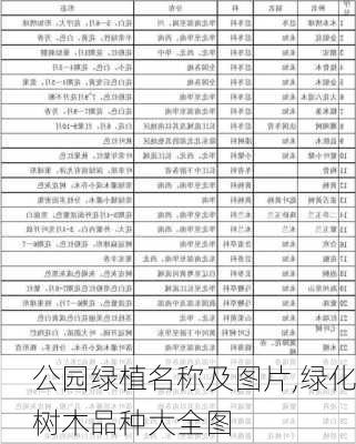 公园绿植名称及图片,绿化树木品种大全图-第2张图片-花卉百科