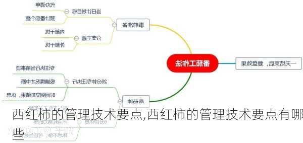 西红柿的管理技术要点,西红柿的管理技术要点有哪些-第3张图片-花卉百科