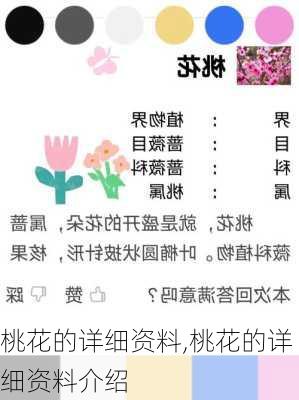 桃花的详细资料,桃花的详细资料介绍-第2张图片-花卉百科