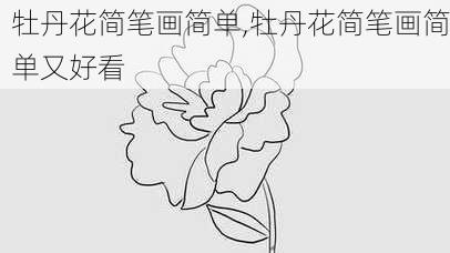 牡丹花简笔画简单,牡丹花简笔画简单又好看