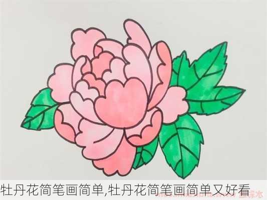 牡丹花简笔画简单,牡丹花简笔画简单又好看-第3张图片-花卉百科