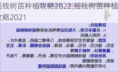 摇钱树苗种植攻略2022,摇钱树苗种植攻略2021-第2张图片-花卉百科