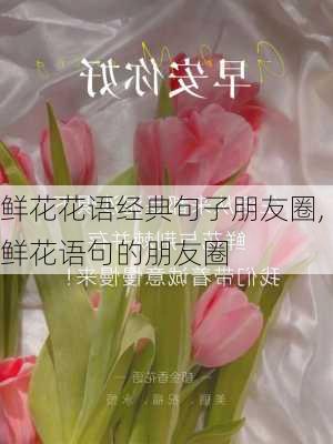 鲜花花语经典句子朋友圈,鲜花语句的朋友圈