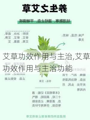 艾草功效作用与主治,艾草功效作用与主治功能-第1张图片-花卉百科