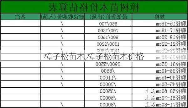 樟子松苗木,樟子松苗木价格-第3张图片-花卉百科