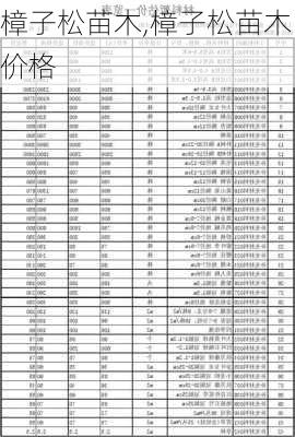 樟子松苗木,樟子松苗木价格-第2张图片-花卉百科