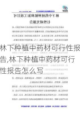 林下种植中药材可行性报告,林下种植中药材可行性报告怎么写-第1张图片-花卉百科