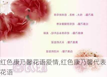 红色康乃馨花语爱情,红色康乃馨代表花语-第2张图片-花卉百科