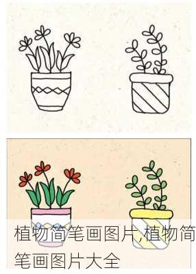 植物简笔画图片,植物简笔画图片大全