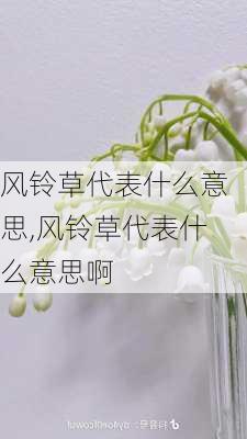 风铃草代表什么意思,风铃草代表什么意思啊