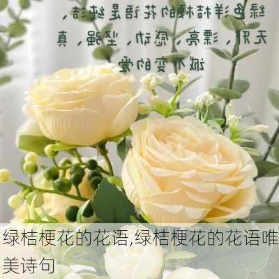 绿桔梗花的花语,绿桔梗花的花语唯美诗句