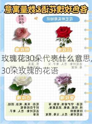 玫瑰花30朵代表什么意思,30朵玫瑰的花语-第2张图片-花卉百科