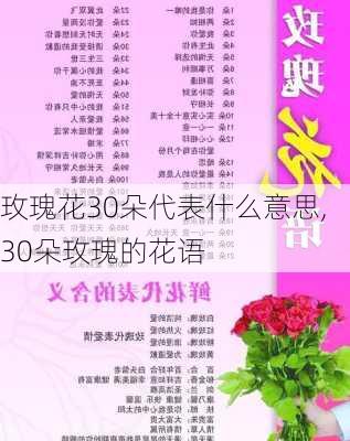 玫瑰花30朵代表什么意思,30朵玫瑰的花语-第3张图片-花卉百科