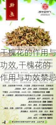 干槐花的作用与功效,干槐花的作用与功效禁忌-第2张图片-花卉百科