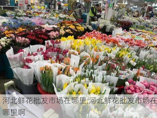 河北鲜花批发市场在哪里,河北鲜花批发市场在哪里啊