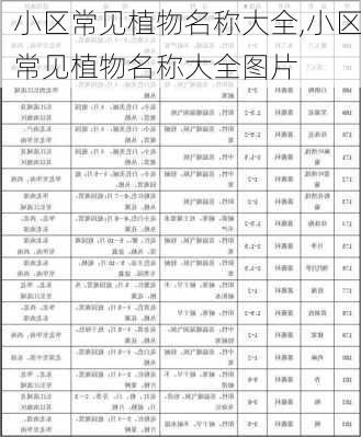 小区常见植物名称大全,小区常见植物名称大全图片-第1张图片-花卉百科