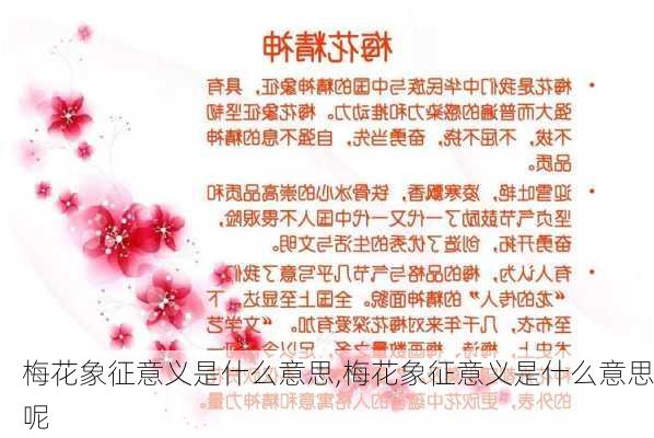 梅花象征意义是什么意思,梅花象征意义是什么意思呢