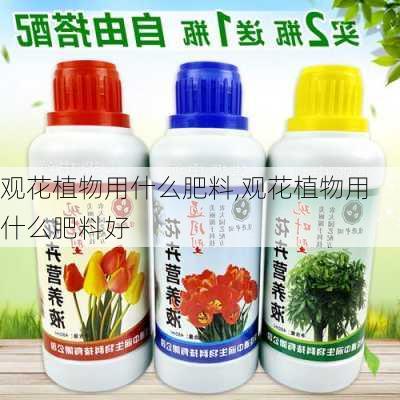 观花植物用什么肥料,观花植物用什么肥料好