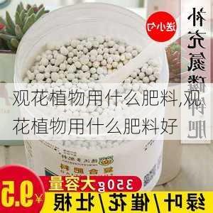 观花植物用什么肥料,观花植物用什么肥料好-第2张图片-花卉百科