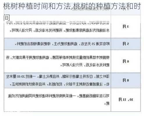 桃树种植时间和方法,桃树的种植方法和时间