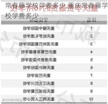 常春藤学校学费多少,重庆常春藤学校学费多少