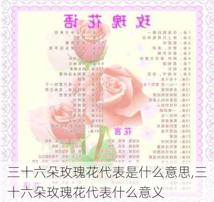 三十六朵玫瑰花代表是什么意思,三十六朵玫瑰花代表什么意义